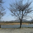 용가리쌤 야영장 이미지