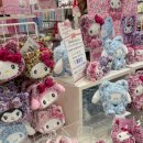 영바디복싱 | 시들었던 꽃들이 다시 피어나길래 나도 여전히 그 봄에 머물러있다 생각했지