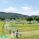 강정동-35 이미지