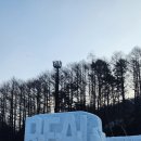 (주)이글루 | 2026 태백산눈축제 이글루 카페 후기
