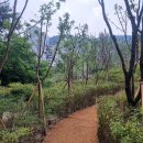 시민근린공원 입구 이미지