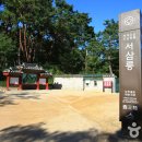 고양시청로 이미지