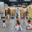 용인대 블랙벨트 태권도 | 홍천 용인대블랙벨트태권도 아이들 수업 후기