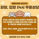 동물보육원 김포지부 이미지