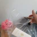 손수아이래쉬 이미지