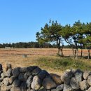 신대륙목장 이미지