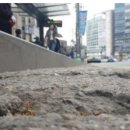 빠른발 행정사사무소 이미지