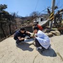 청송동물병원 이미지