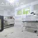 퍼피게스트하우스 이미지