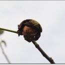 송천농장 이미지