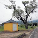 모화리 티스토리