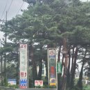 고향백숙 - 청양군 주전로 6 | 고향백숙