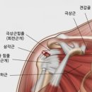 삼주한의원 이미지