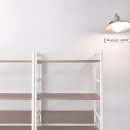 호야네애견샵 이미지