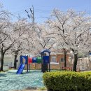 상무태권도 이미지