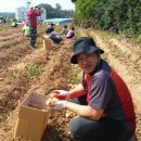 나운2동사무소 이미지