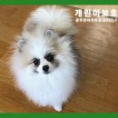 개린이 집합소 이미지