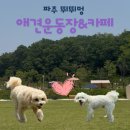 뛰뛰멍 이미지