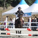 함안 승마장 이미지