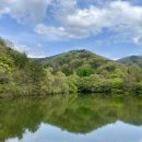 화순적벽택시(합) | [화순 세량제 여행 후기] 봄 물안개와 산벚꽃이 어우러진 힐링 명소 (광주 근교 당일치기 추천)