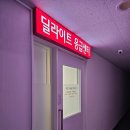 트윈스동물병원 | 창동 24시간 동물병원 : 딜라이트의료센터 : 응급실 후기