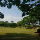 명지근린공원 유아숲체험원 이미지