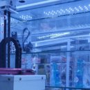 뽑기가 안되면 홍성스쿨 이미지