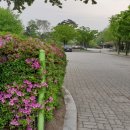 삼영전자공업(주) 포승2공장 이미지