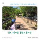 경주 아이랑 가볼 만한 곳 경주 교촌마을 한옥마을 경주 최부자 댁 월정교 폴바셋 경주 교동 DT점