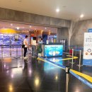 오션 아레나 | 제주 여행 가볼만한 곳 아쿠아플라냇 오션 아레나 물개 공연 후기