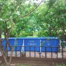 양양군양양댁 이미지