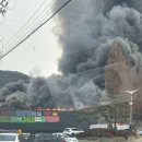 영덕식자재마트 이미지