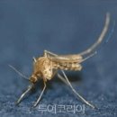 (주)금강방역공사