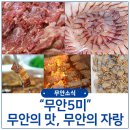 무안-5 네이버블로그