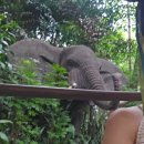 ㈜도시광산플랫폼 | [25홍콩_2] 작은 디즈니랜드가 맵다