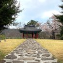 빵굽는농부 (야사마을) | 전남 화순 운주사 천년고찰여행 가을 국화축제