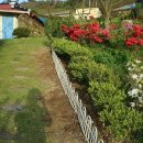 솔바다펜션민박 이미지