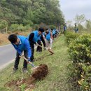 순천 나무숲 이미지