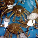 (주)백곡주유소 이미지