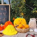 풍림농장 이미지