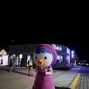 철원병원 | 철원 여행 노동당사 모을동빛 국가유산 미디어아트 방문 후기