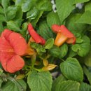 (주)영진연구지원점 이미지