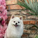 이쁘개멋있개 이미지