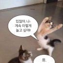 샵스케줄 공원 | 내 맘대로 일상