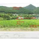 충주호 조망 이미지