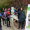 제11공원 세계일보