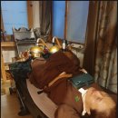 오행쑥뜸방 이미지