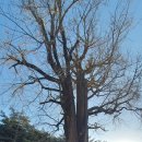 고견사화장실 이미지