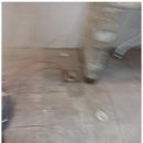 믿음배관 | 구미정화조 배관에서 믿음을 찾다: 배관클리닉 후기