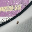 상주대한약국 이미지